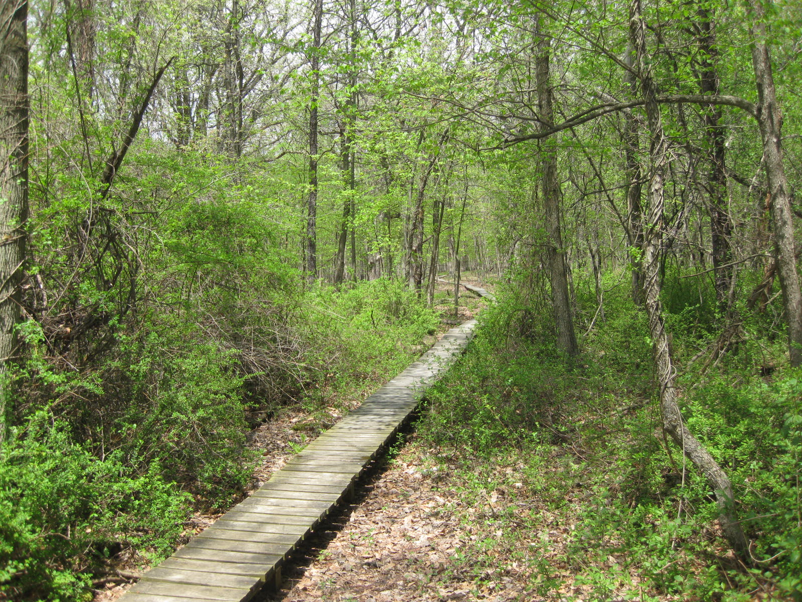 Image result for Thorn Creek Nature Center